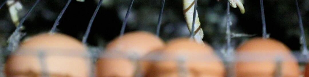 e35e94753e90309ef1cb36cfe7965e9a