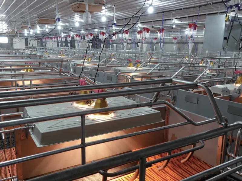 Livestock Farming Equipment