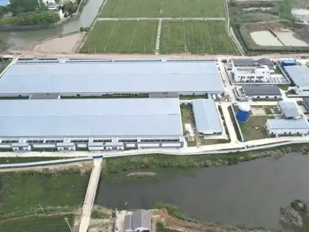 Custom-Built Agricultural Trucks: When Standard Models Aren't Enough