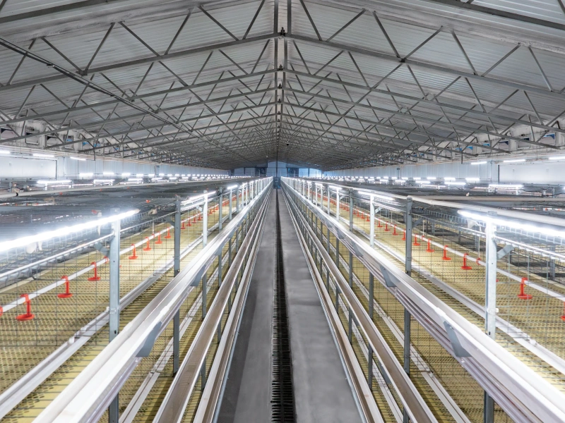 Livestock Farming Equipment