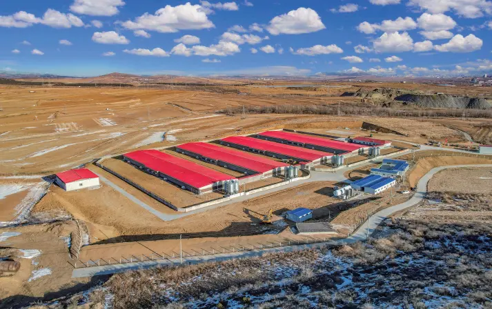 12, 000 Fattening Pig Farm in Fuxin, Liaoning Province)