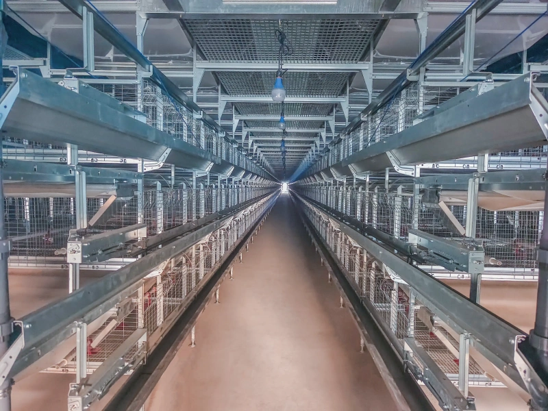 Livestock Farming Equipment